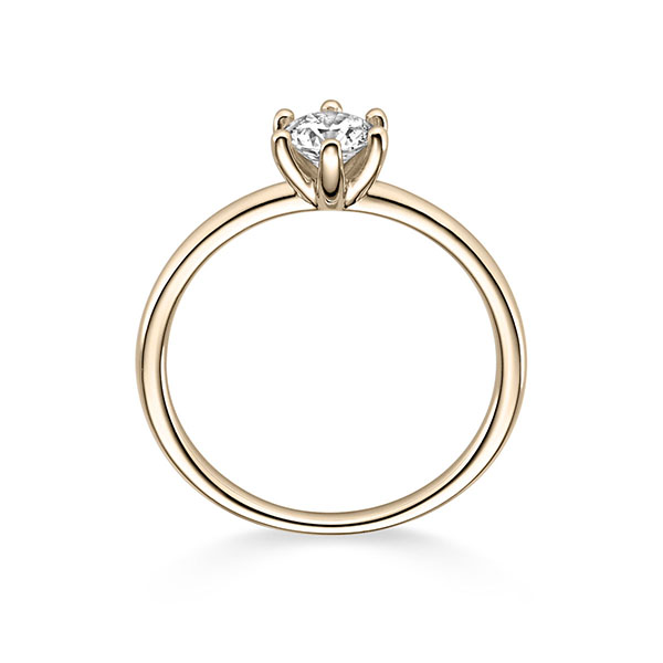 Essentials, 6 Krappen, Breite: 1,80, Höhe: 1,60